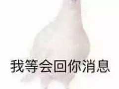 -琴寿司居酒屋(软件园店)