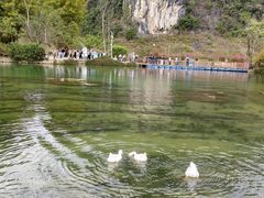 -靖西鹅泉风景区