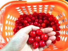 -樱桃山旅游景区