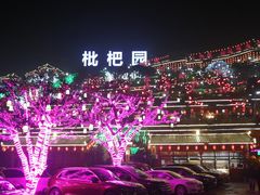-枇杷园食为鲜火锅(南山店)