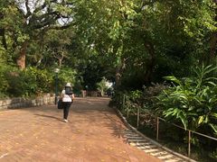 -九龙公园