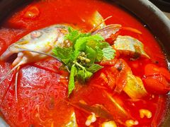 酸汤鱼-毛辣果·酸