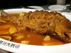 红烧黄河鲤鱼-阿五黄河大鲤鱼(英协路店)