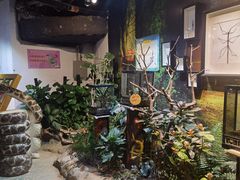 -正佳雨林生态植物园