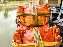 -小陆莲花蟹园农家乐(莲花岛店)