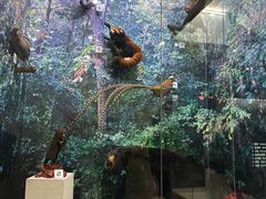 -国家自然博物馆