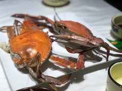 -渔民船说·北塘海鲜·天津菜·海肠捞饭(北塘古镇店)