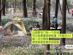 -将府公园