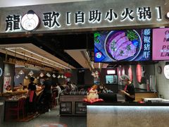 -龍歌自助小火锅(李沧丽达店)