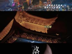 -湖南东洞庭湖国家级自然保护区