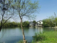 -新荣记(西溪湿地店)