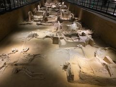 -洛阳周王城天子驾六博物馆