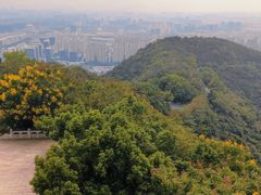 -杭州半山国家森林公园