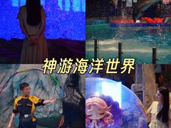 -威海华夏城景区