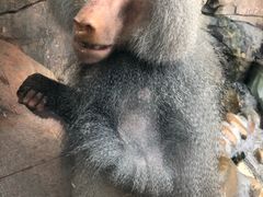-灵玲国际马戏城