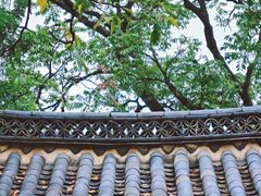 -建水文庙