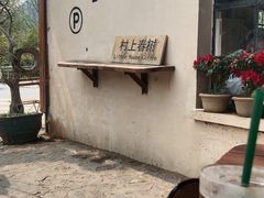 -村上春树