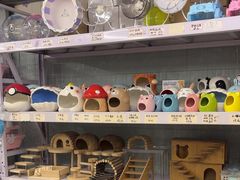 -钓仓鼠(洋桥北里小区店)