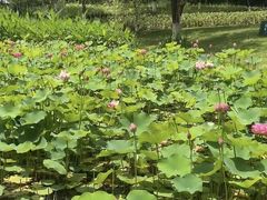 -沐仙湖湿地公园
