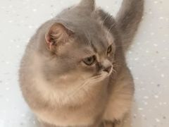 -小小班私人影院·猫咖(万达茂广场店)