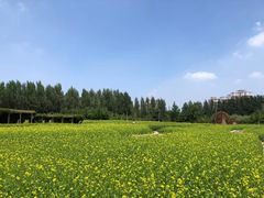 -长春公园(普阳街道)