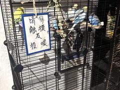 -鬼味烤翅(南锣鼓巷店)