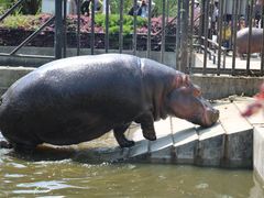 -合肥野生动物园