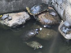 -方山风景区定林寺