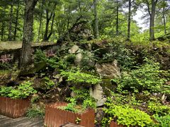 -洛阳白云山景区