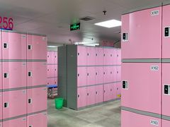 -重庆市奥林匹克体育中心-游泳跳水馆