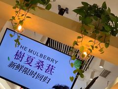 -树夏(金楠天街店)