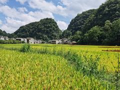 -高荡千年布依古寨旅游景区