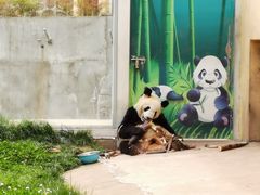 -西安秦岭野生动物园