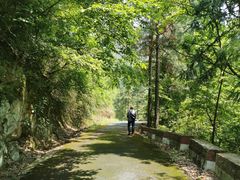 -东天目山风景区