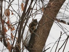 -终南山南五台景区