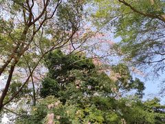 -广东金融学院(校本部)