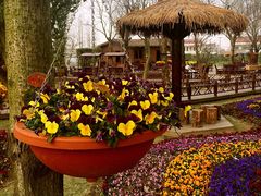 -南通洲际绿博园