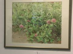 -札幌市资料馆(旧札幌控訴院)