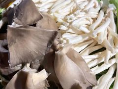 金针菇-霄汉羊排(万松园一店)