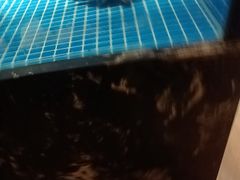 -和和小厨