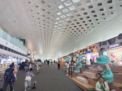 -杭州萧山国际机场