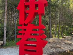 -汤旺河林海奇石景区
