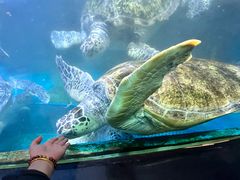 -海合安青岛极地海洋公园