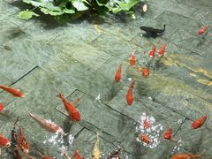 -惠食佳(滨江大公馆店)