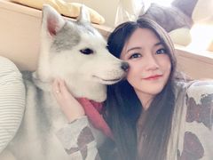 -Husky Go! 哈士奇体验馆·宠物咖啡厅狗咖