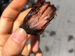-都士牧人现烤牛肉干