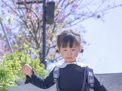 -小南山公园