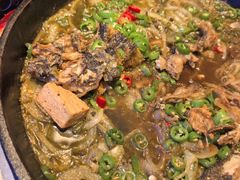 -老板恋上鱼(恒隆广场店)