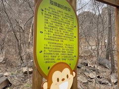 -大岭沟猕猴桃谷风景区