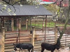 -柳州市动物园
